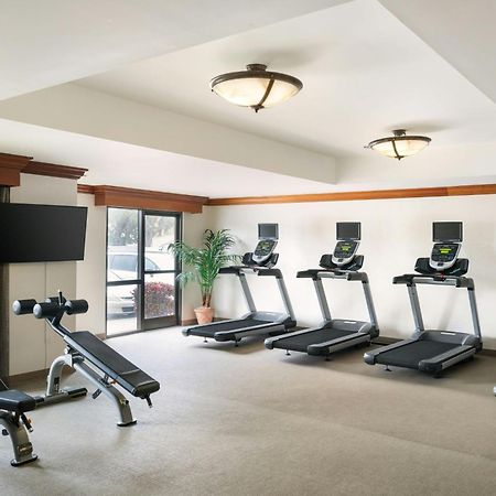 Springhill Suites By Marriott Tampa Westshore Екстер'єр фото
